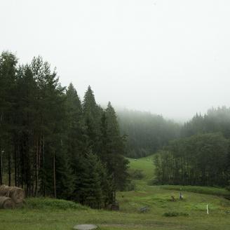 JUNG_KIIDI_003