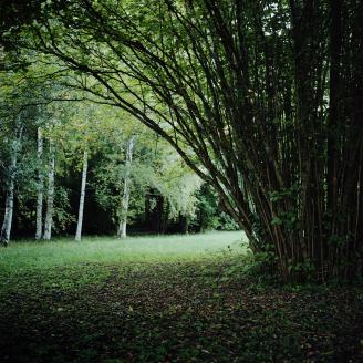 JUNG_KIHNU_011