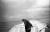BRIGNON_FREE_018