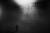 BRIGNON_FREE_028