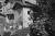 BRIGNON_FREE_028