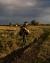 FARCY_SOMME_004