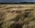 FARCY_SOMME_006