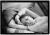 FACON_VAGABONDES_009