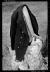 FACON_VAGABONDES_012