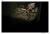 FACON_VAGABONDES_015