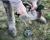 FARCY_SOMME_017