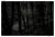 FACON_VAGABONDES_019