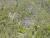 EXPILLY_VAL_009