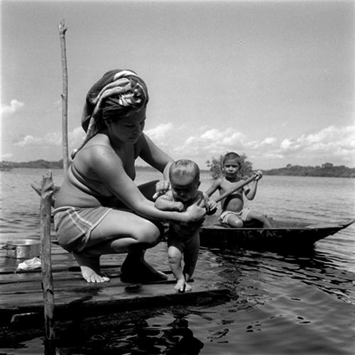 Amazone, un monde en suspens