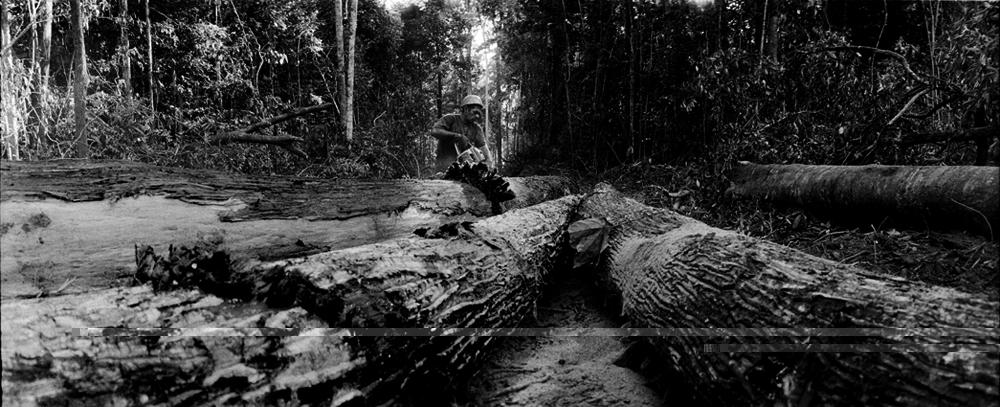 Amazone, un monde en suspens