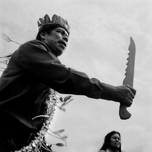 Amazone, un monde en suspens