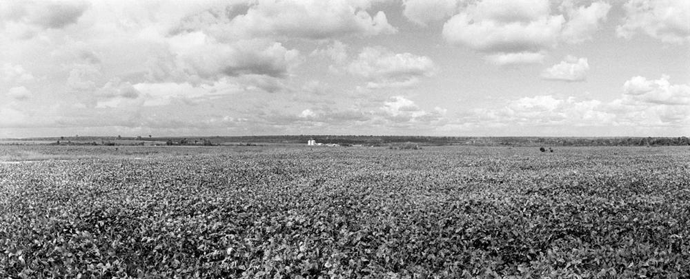 Amazone, un monde en suspens