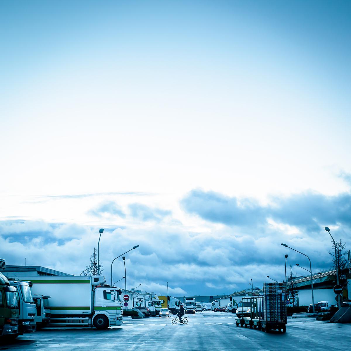 LEVILLAIN_RUNGIS_001