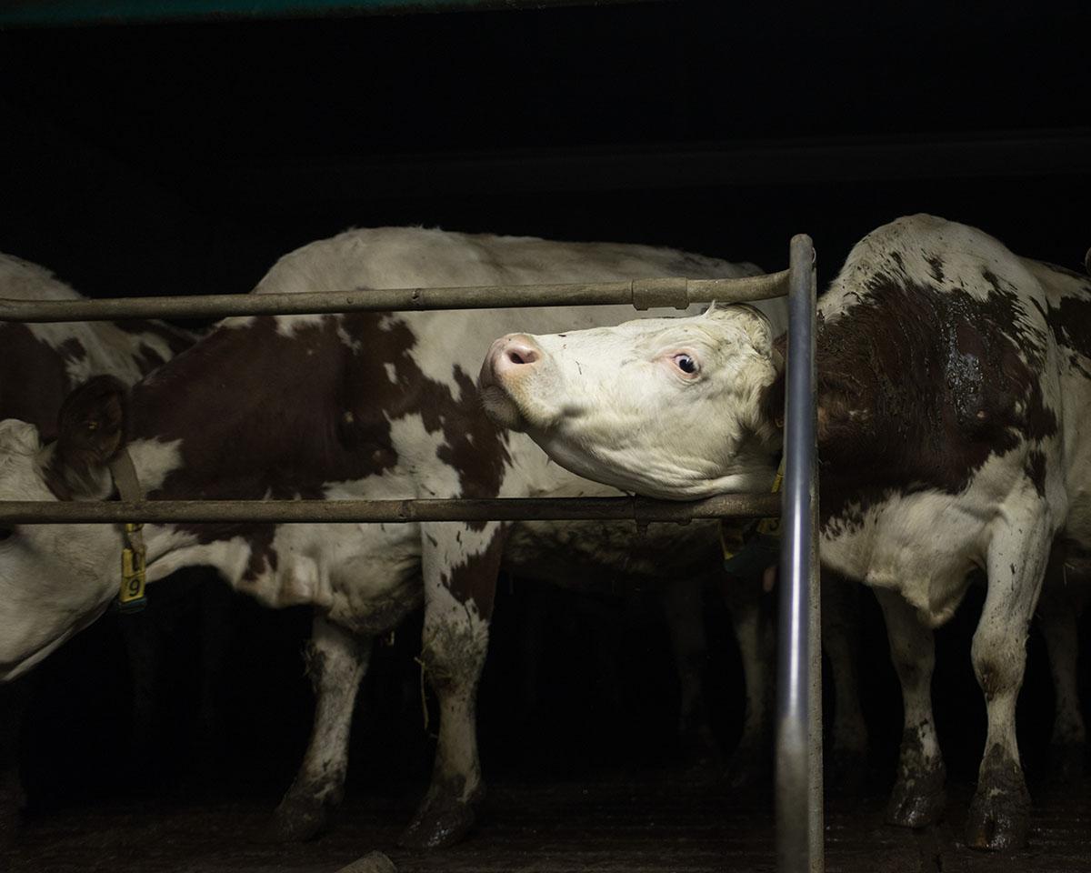 ABADIE_BERENGERE_003