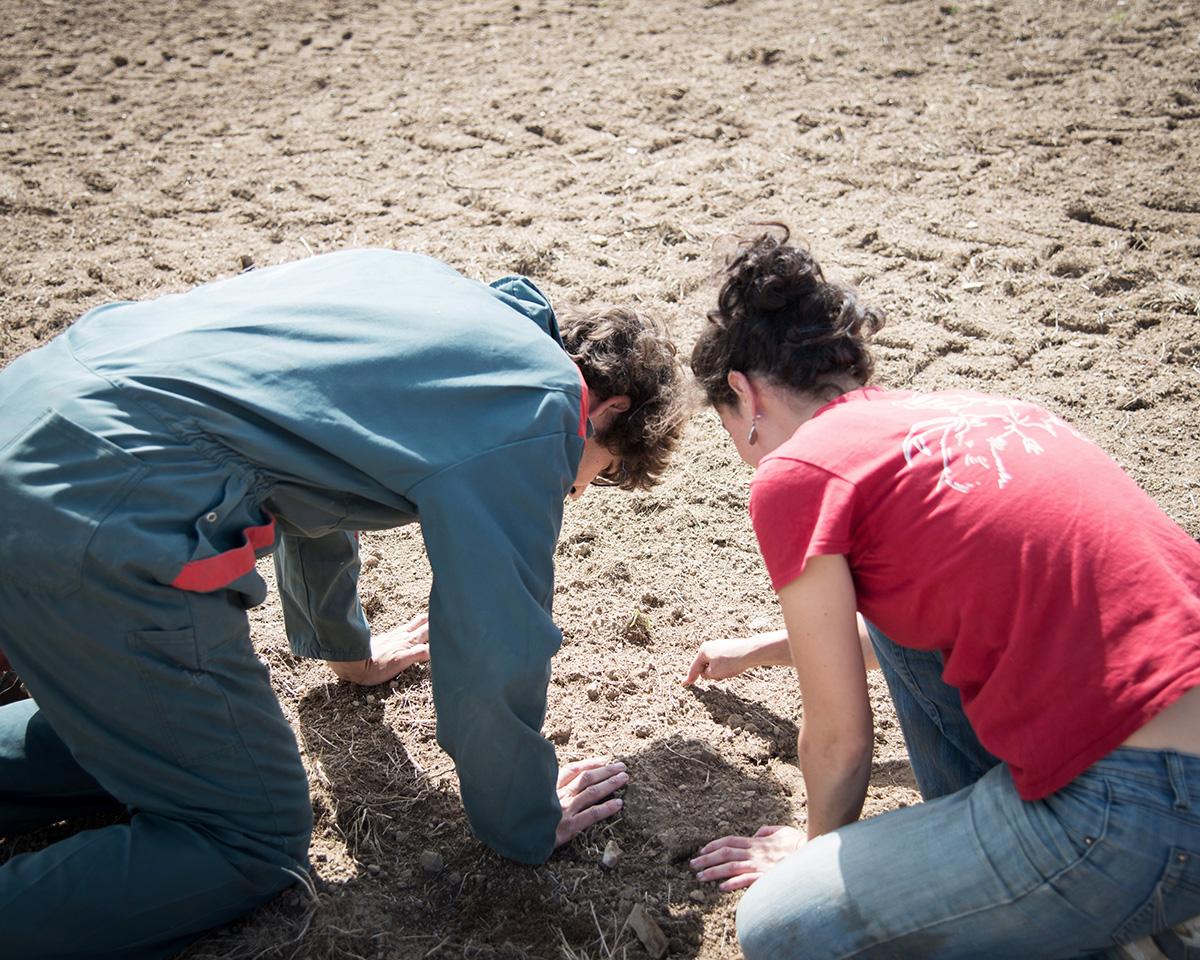 ABADIE_BERENGERE_010