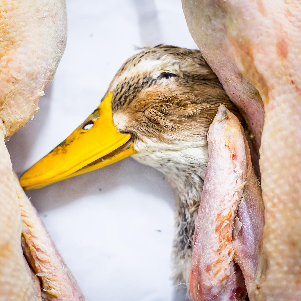 LEVILLAIN_RUNGIS_011