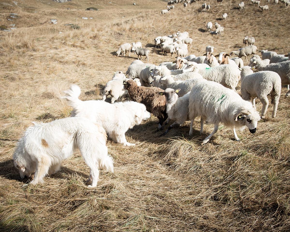 ABADIE_BERENGERE_017