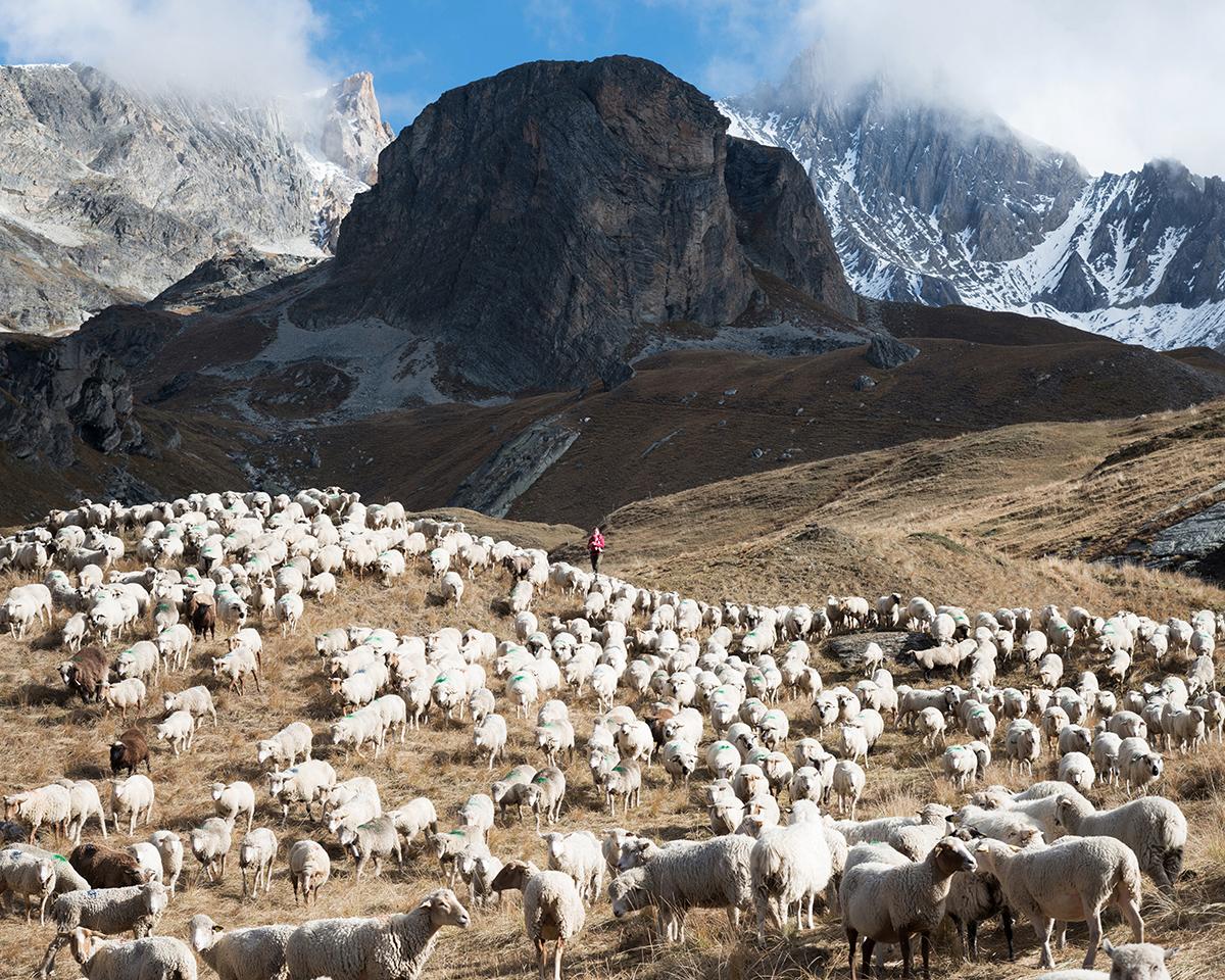 ABADIE_BERENGERE_019