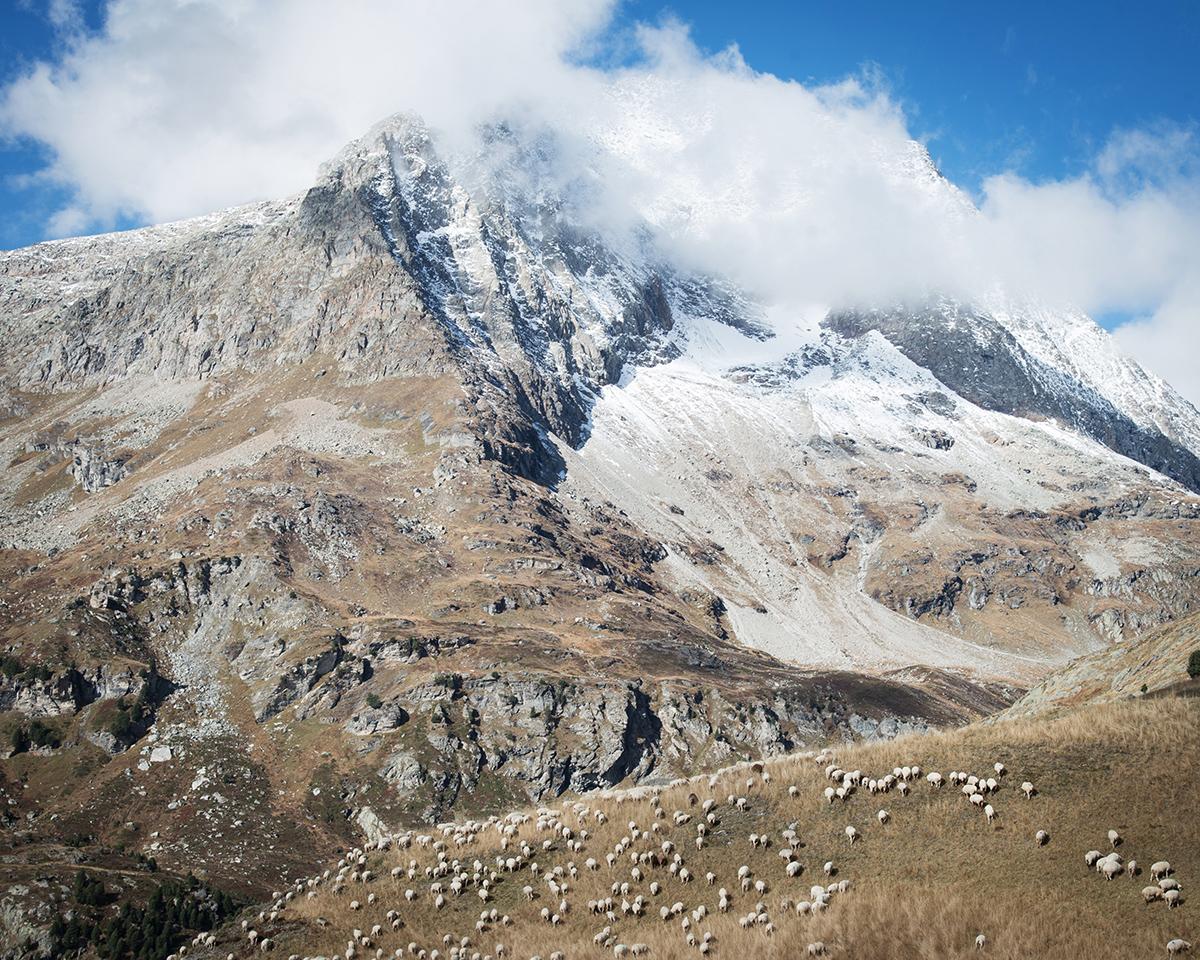 ABADIE_BERENGERE_020