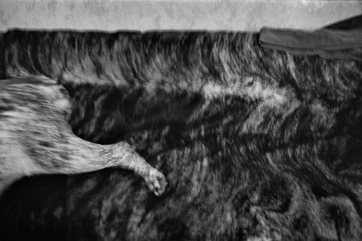 BRIGNON_ANCRAGES_010