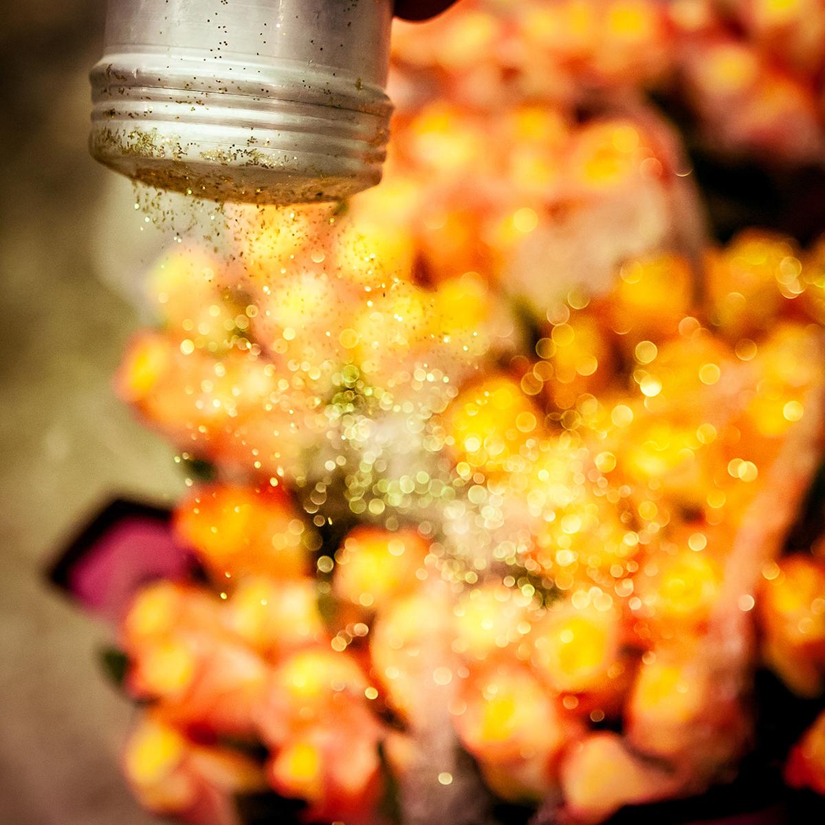 LEVILLAIN_RUNGIS_023