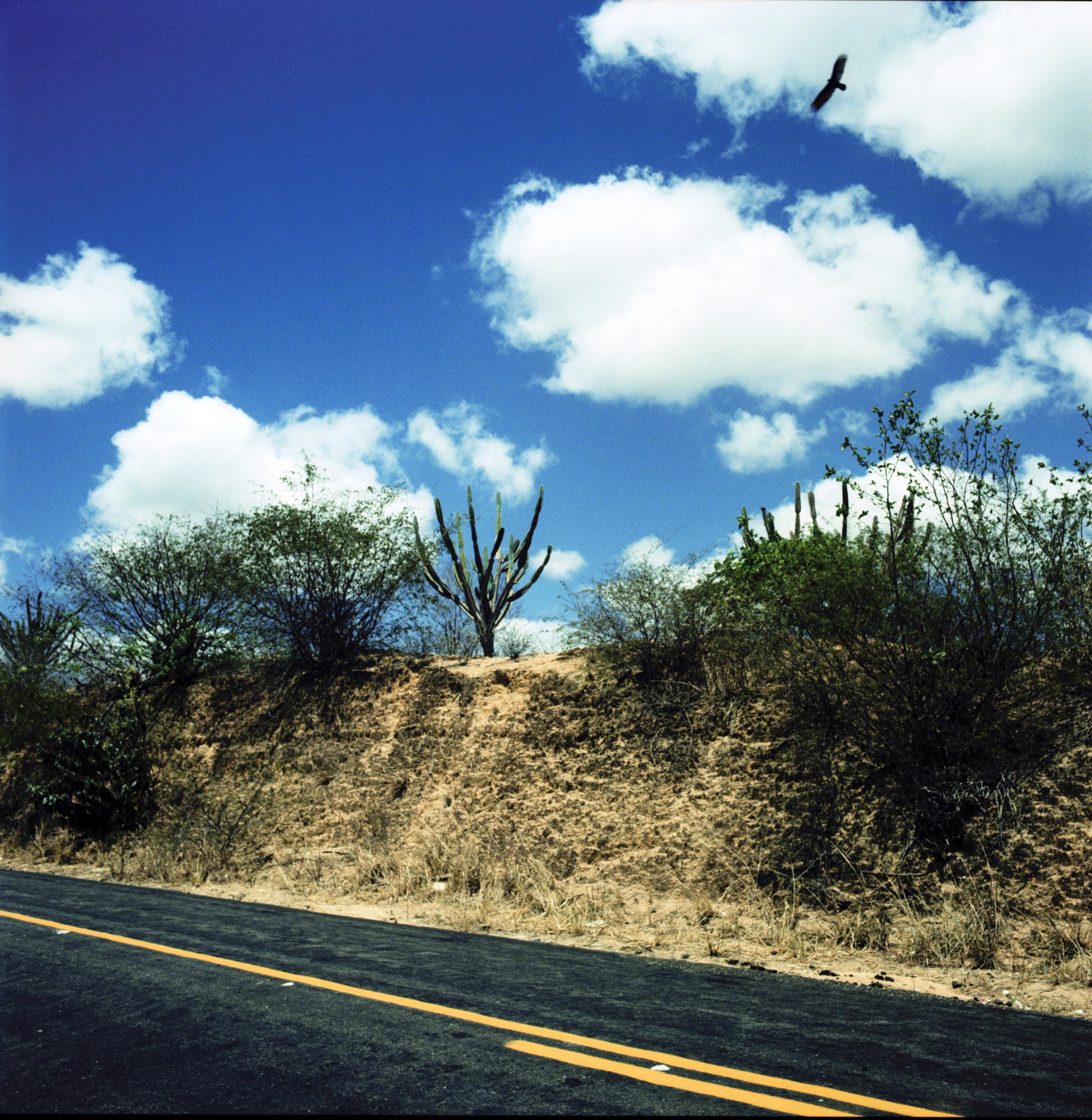 Eden Laurent Monlaü