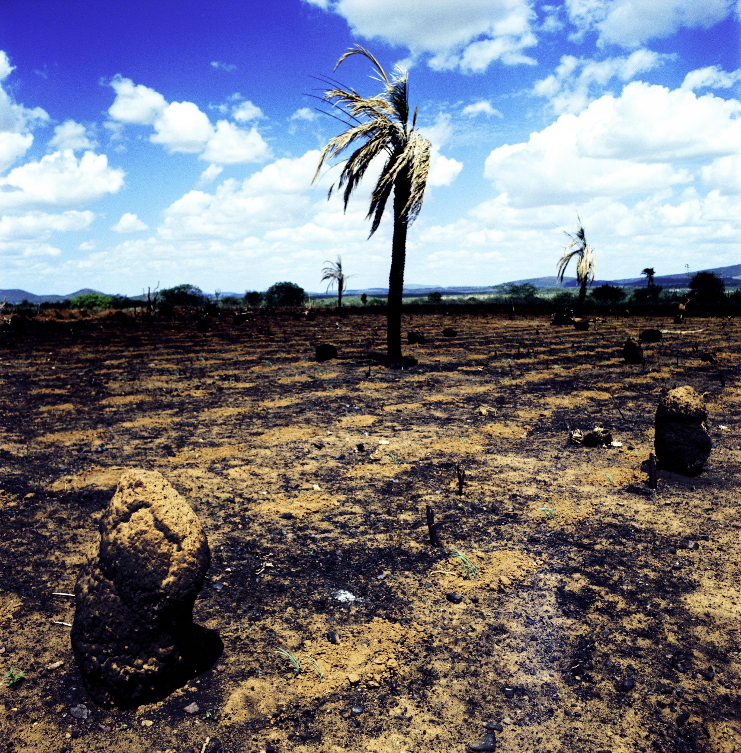 Eden Laurent Monlaü