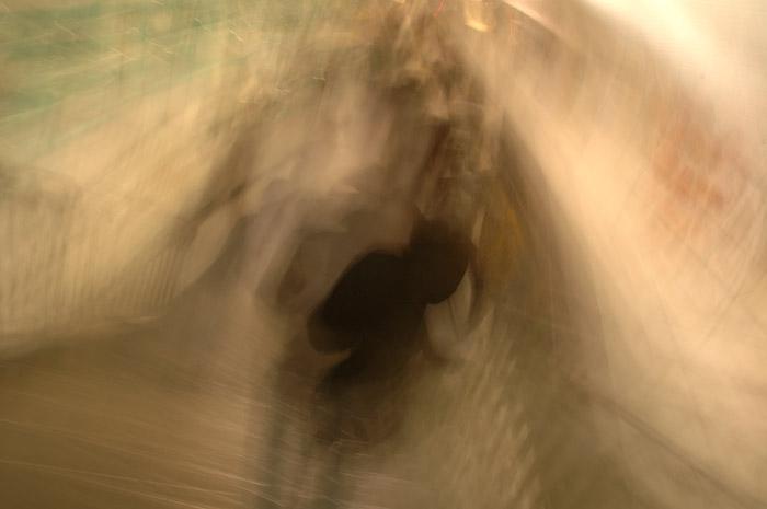 Didier Goupy | Metropolis