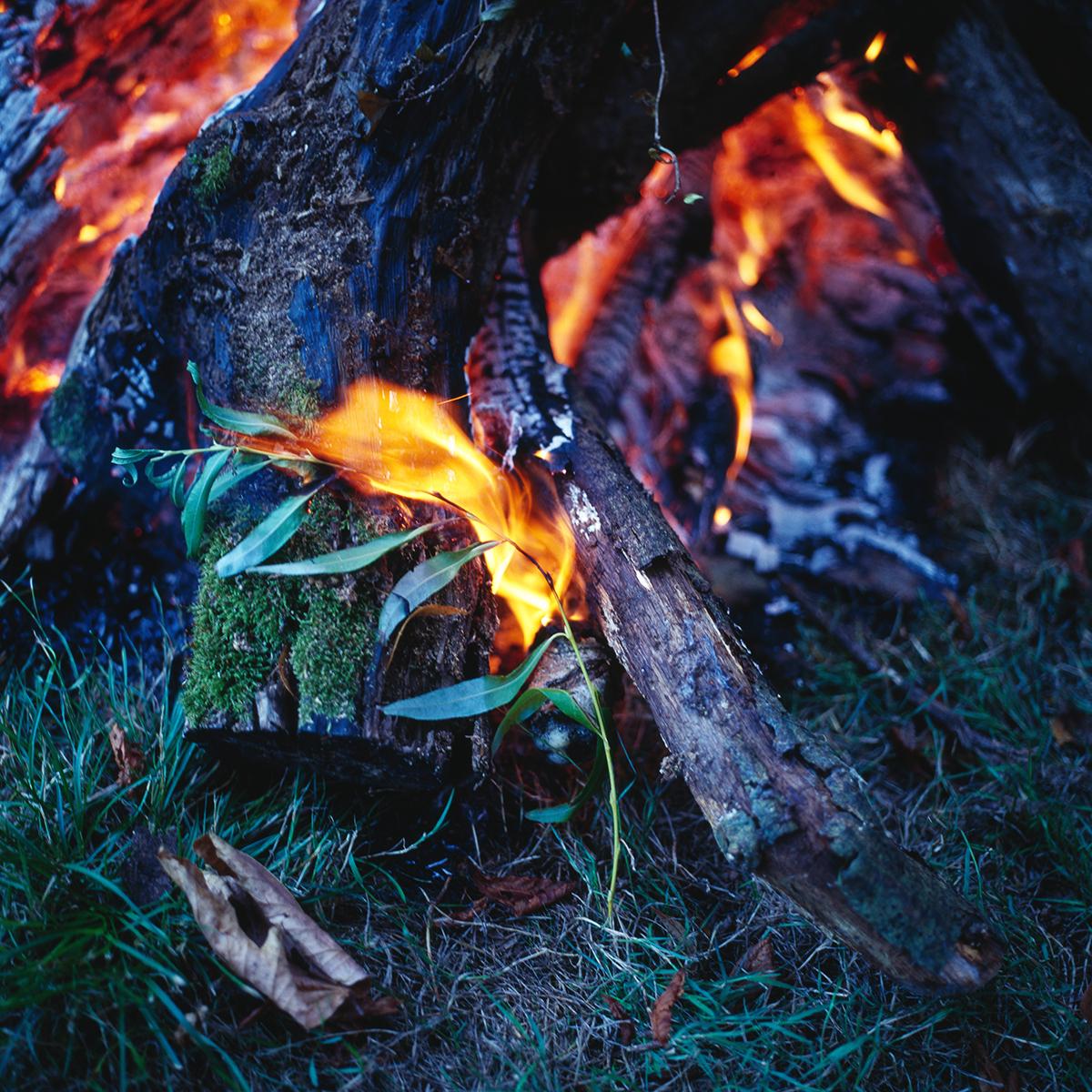 MLIESSE_POULETTES_004