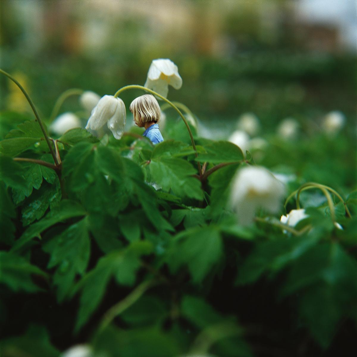 MLIESSE_POUCETTE_008