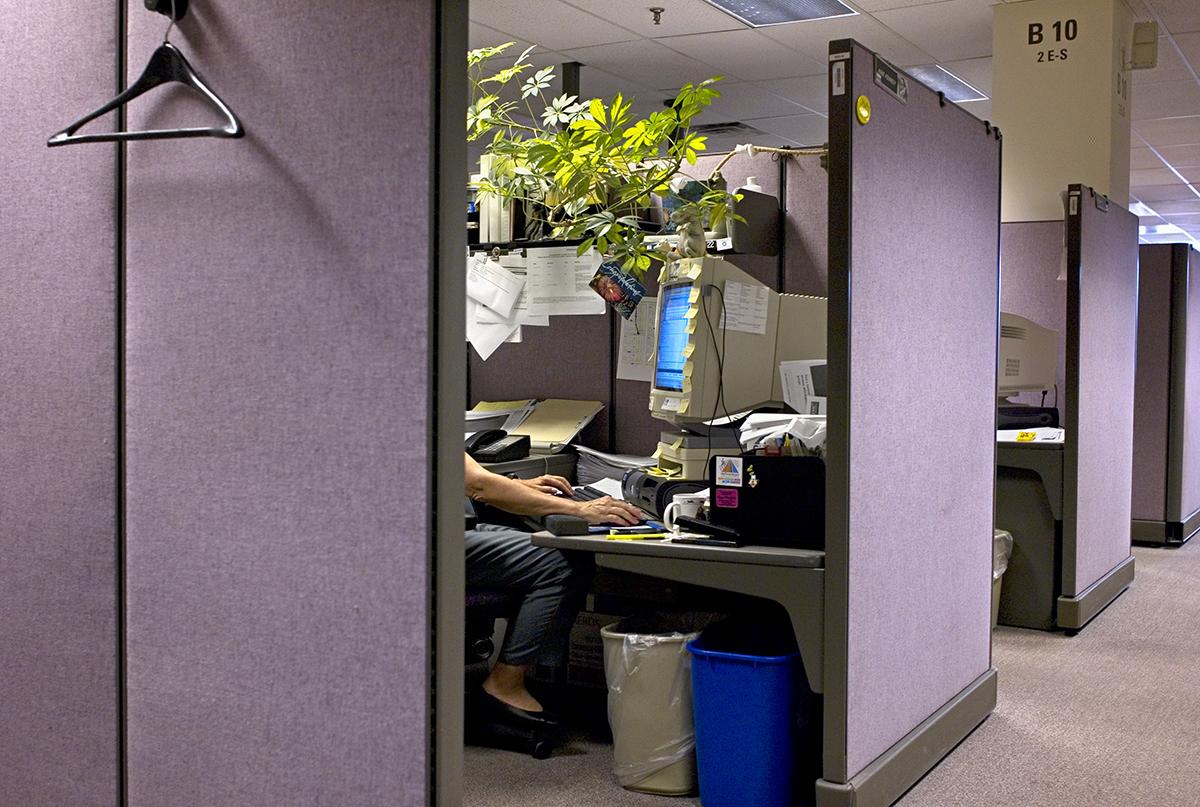 LASSALLE_TRAVAIL_009