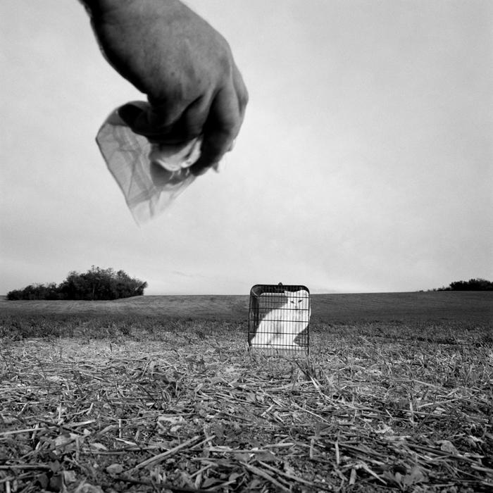 Drôles de zèbres Xavier Lambours