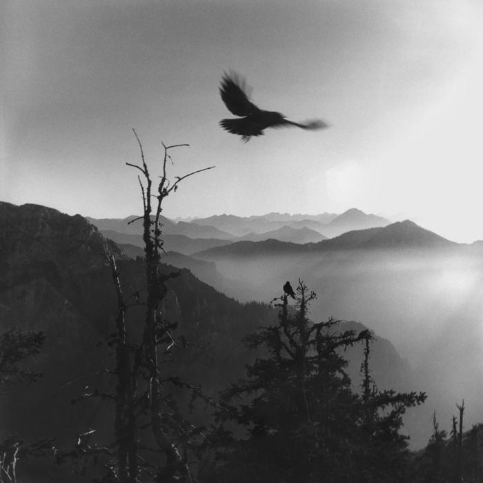 Drôles de zèbres Xavier Lambours