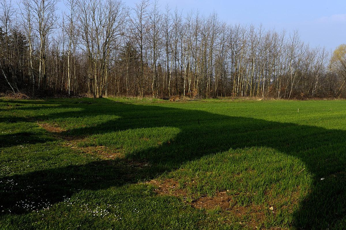 SCHULLER_AQUEDUC_001