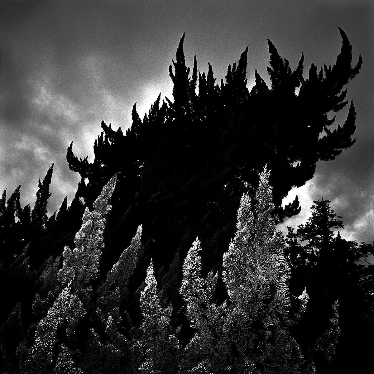 LAMBOURS_EXPOGAIJIN_002