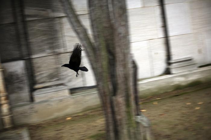 ACERBIS_LACHAISE_004