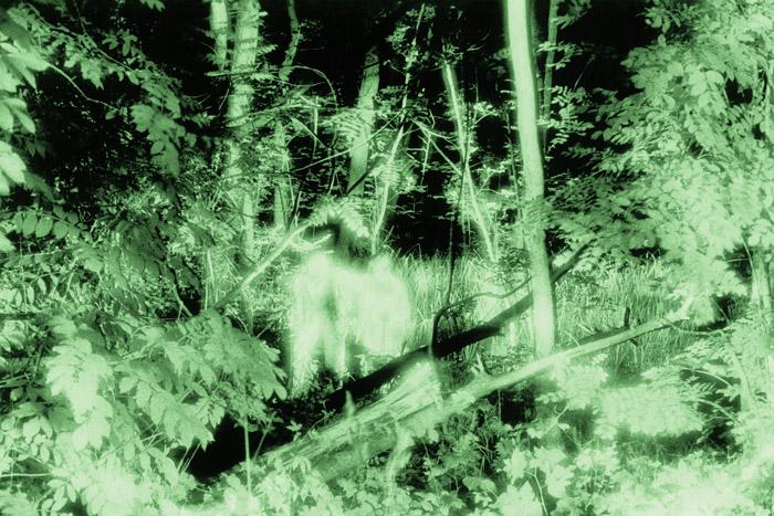 SEMENIAKO_EXPOEXIL_005