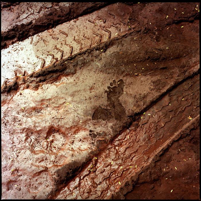 ROUSSELOT_SHINING_008