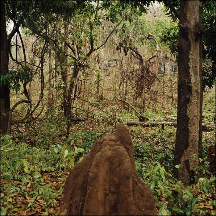 ROUSSELOT_ORISSA_014