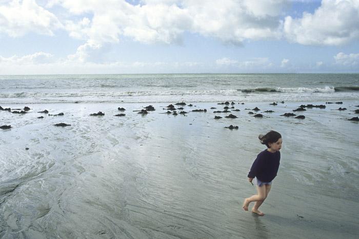 LEVILLAIN_EXPOMOMES_023