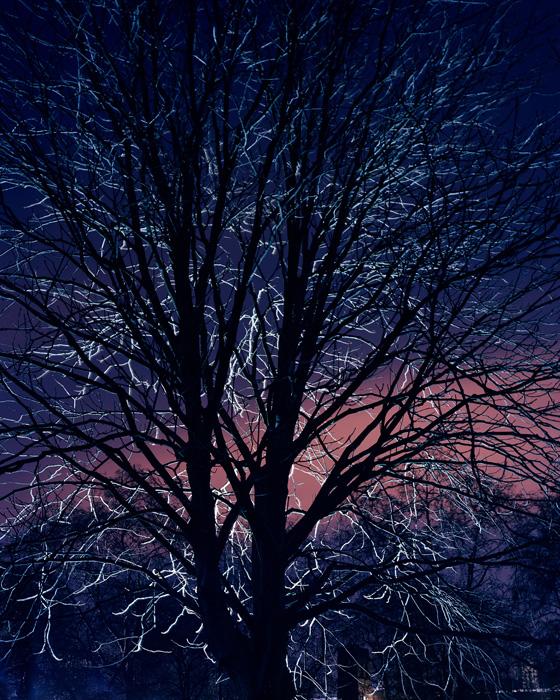 TEZENAS_PORTFOLIO_045