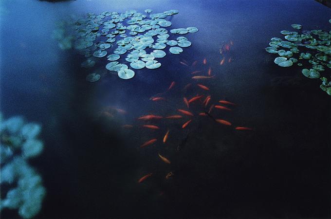 EXPILLY_COLLECTIONS_014