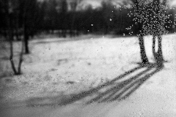 expo transsiberiens bard-009