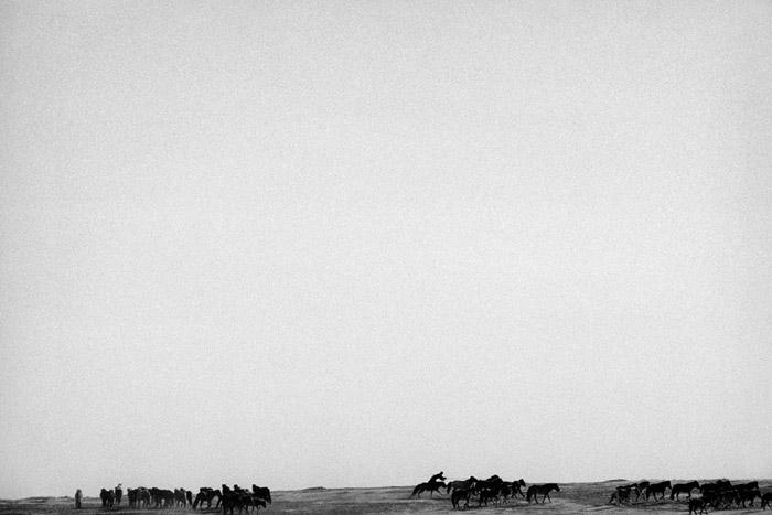 expo transsiberiens bard-042