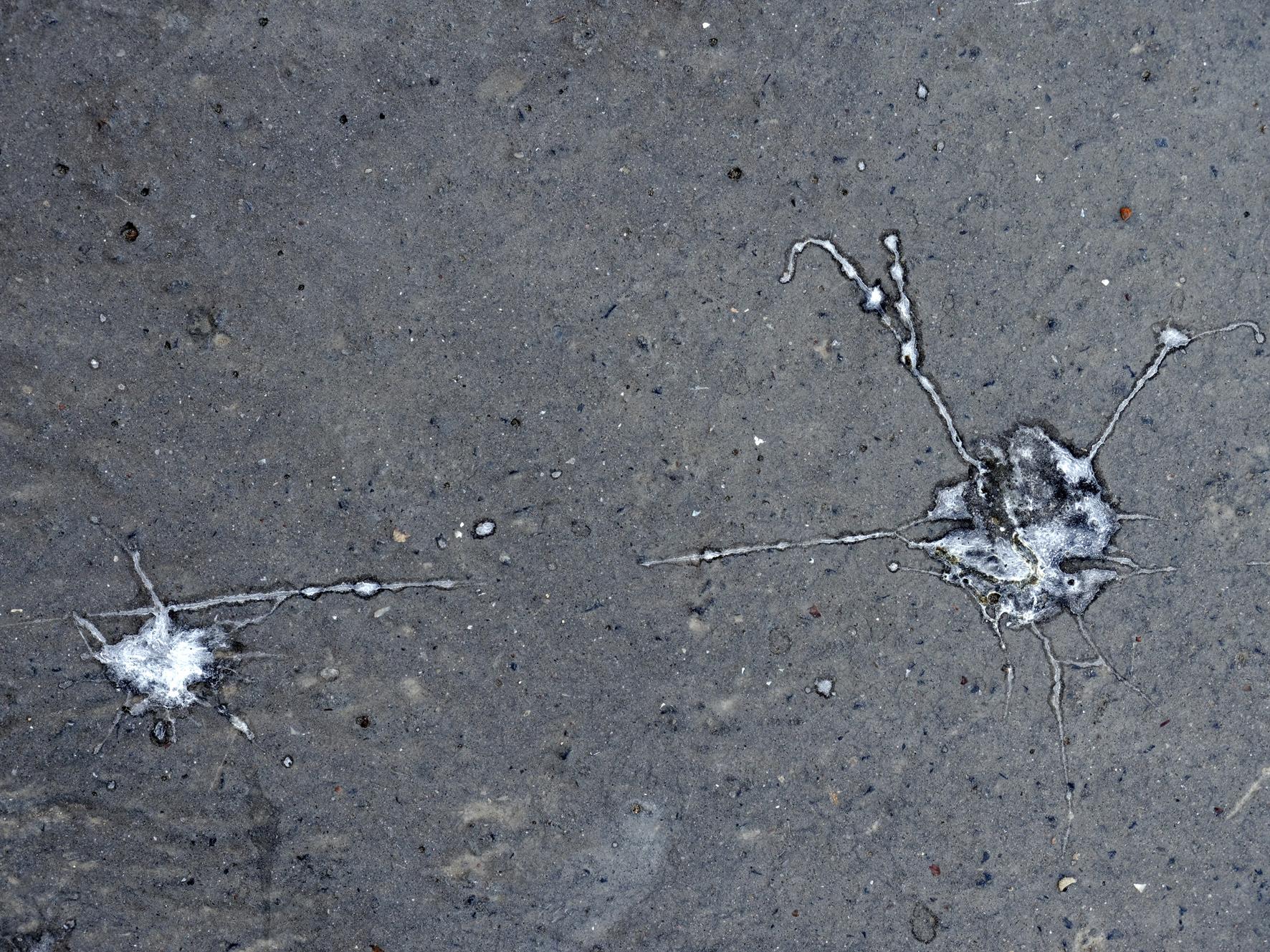 Déambulation dérogatoire Michel Séméniako