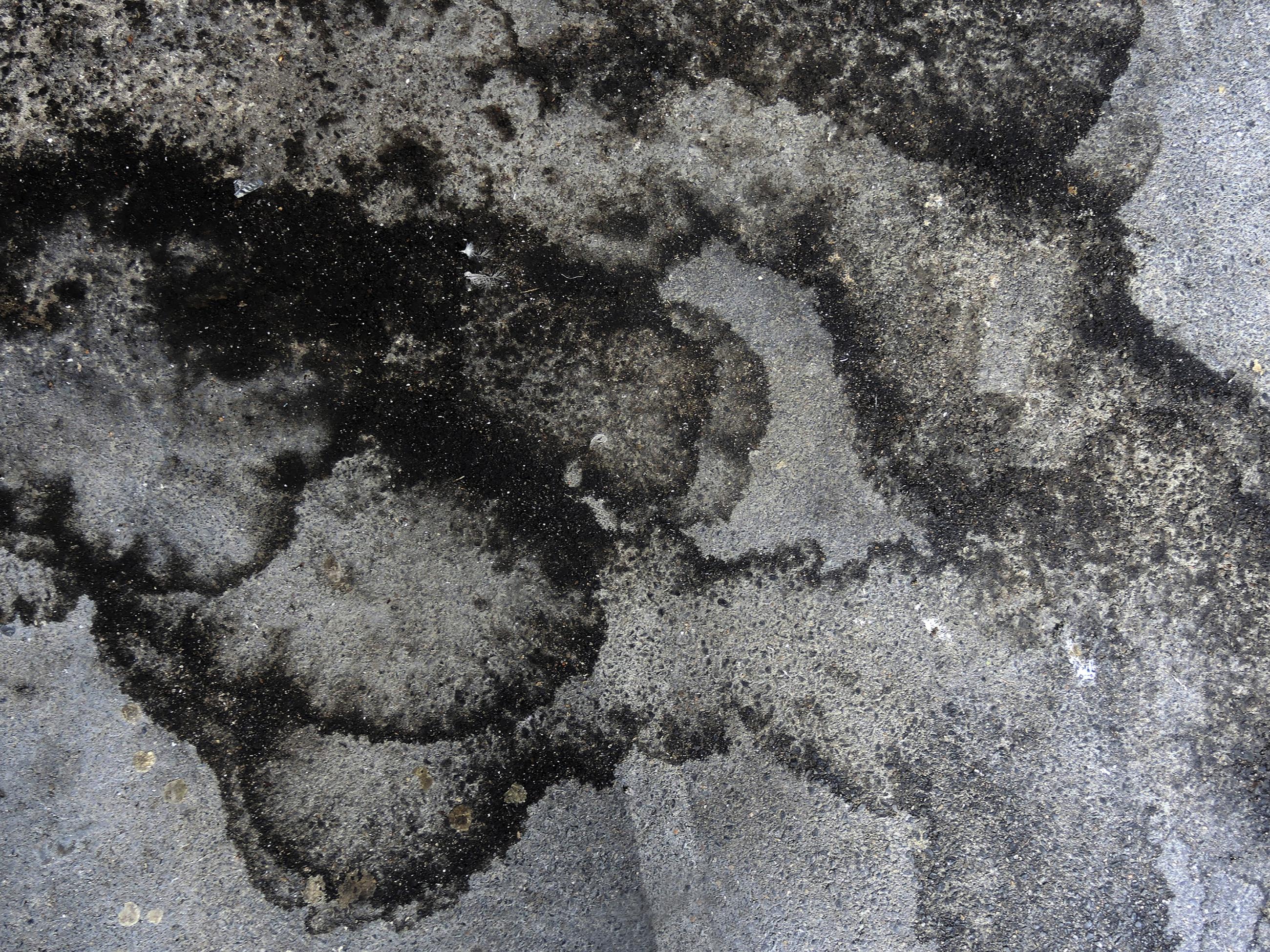 Déambulation dérogatoire Michel Séméniako