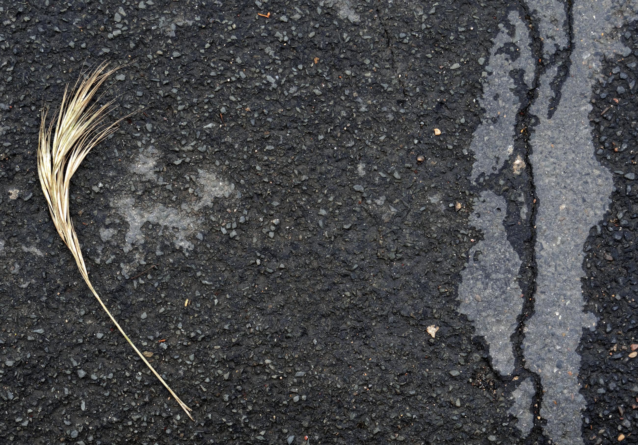 Déambulation dérogatoire Michel Séméniako