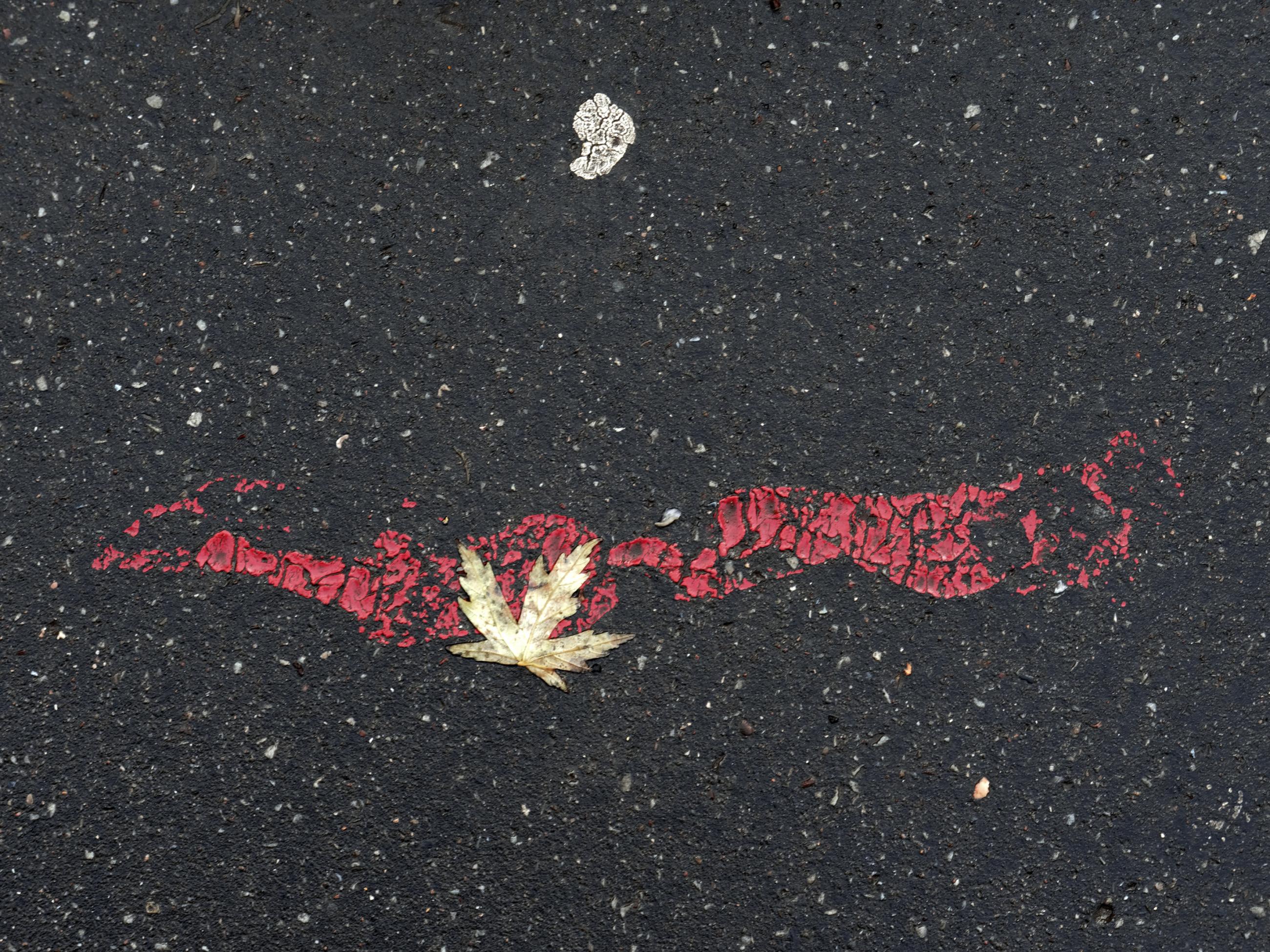 Déambulation dérogatoire Michel Séméniako