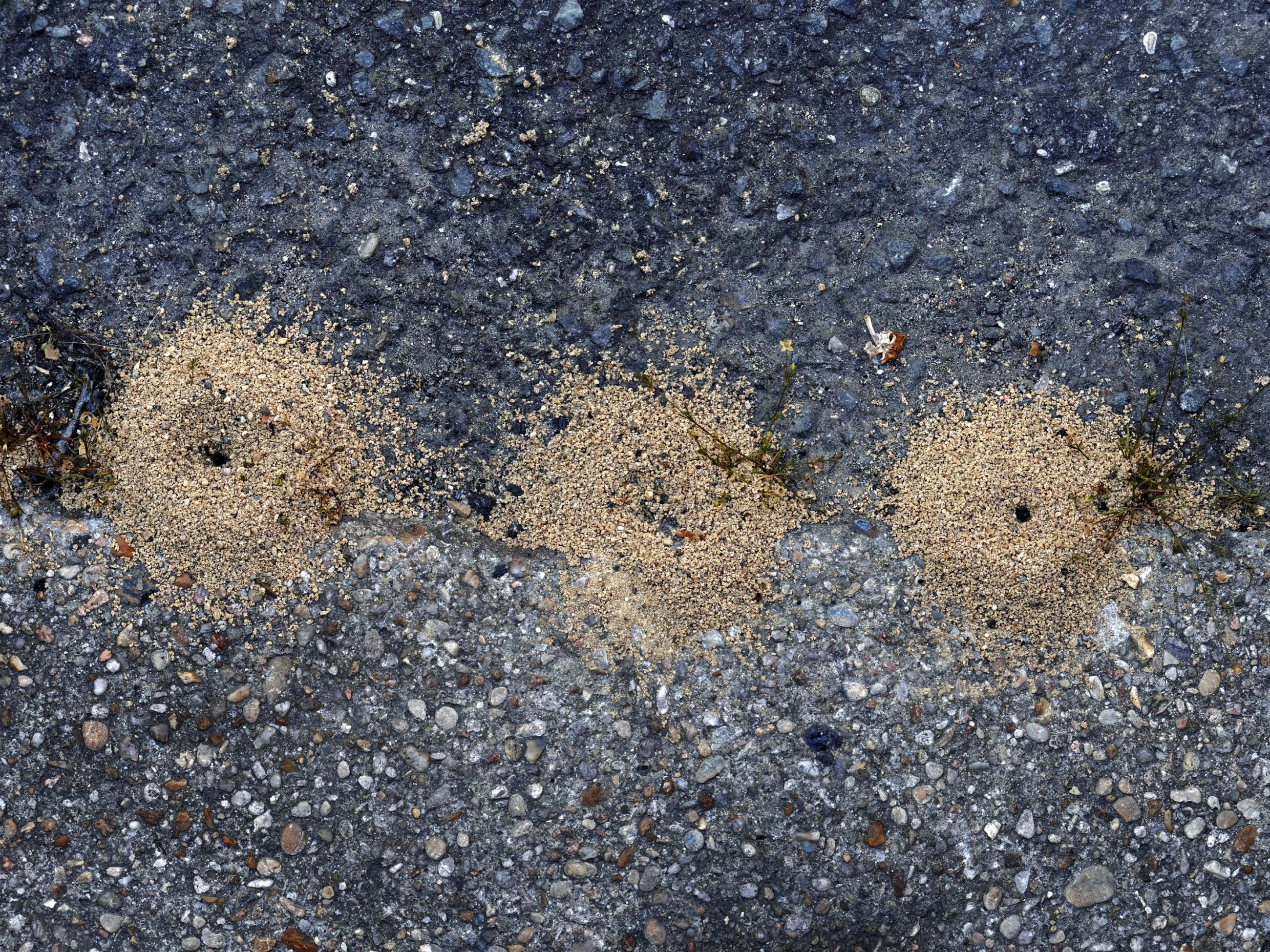 Déambulation dérogatoire Michel Séméniako